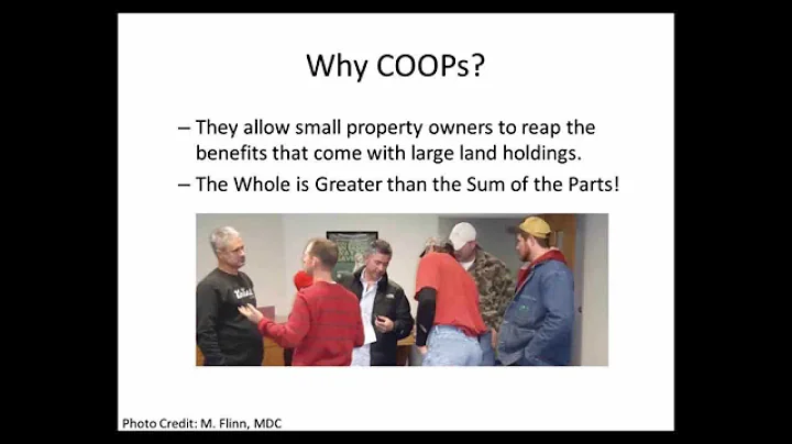 Cooperatives: The Key to Successful Deer Managemen...