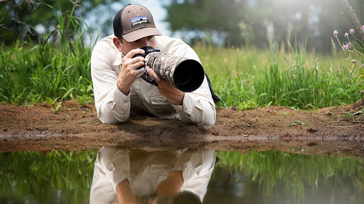 BIRD Photography at my DIY WILDLIFE Pond