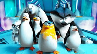 KOMPILASI KLIP PENGUIN MADAGASKAR #2 (2014)