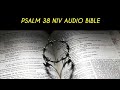 Psalm38 niv audio bible