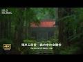 4K + 自然環境音 / よく眠れる雨音　森の中の金勝寺 / アカショウビン　キツツキなどの鳥たちの声