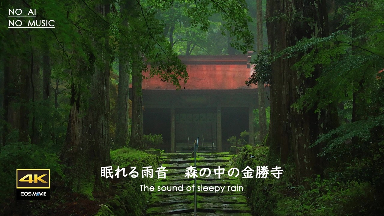 4K + 自然環境音 / よく眠れる雨音　森の中の金勝寺 / アカショウビン　キツツキなどの鳥たちの声