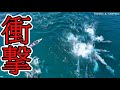 衝撃！！突然現れた巨大生物の大群！！カヤックで釣りをしていた女が遭遇した衝撃の光景が凄過ぎた…丨釣り丨fishing丨catch＆cook丨fishing video
