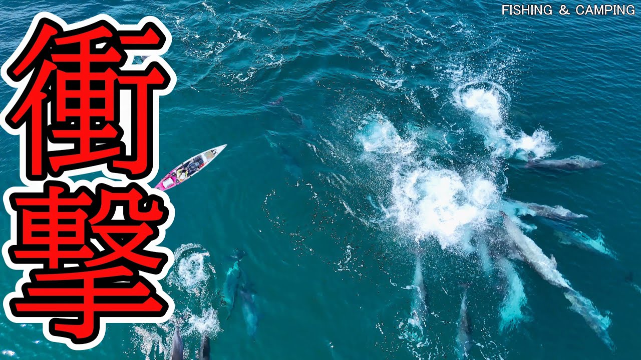 К женщине, рыбачивавшей на маленькой лодке, внезапно приближаются гигантские существа...