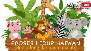 Proses Hidup Haiwan Sains Tahun 5- Berlindung dari Musuh