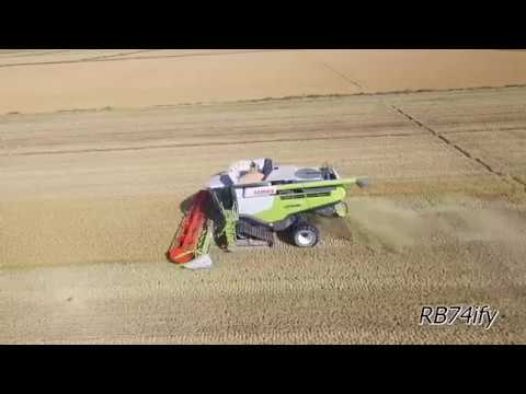2017 RICE HARVEST - CLAAS Lexion 770 ACR (Stage IV) Cerio 770 STESINA Steel Tracks