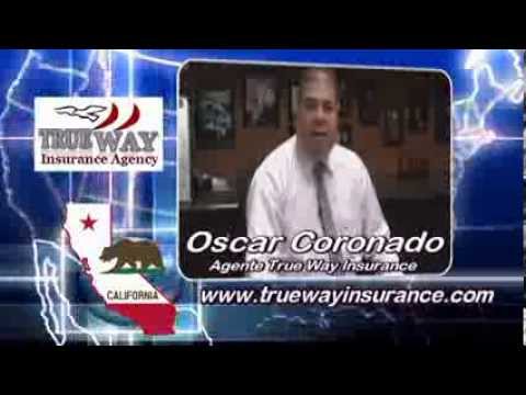 new,-auto,-home,-life,-business,insurance,-d.m.v.-services,-international-driver-license,