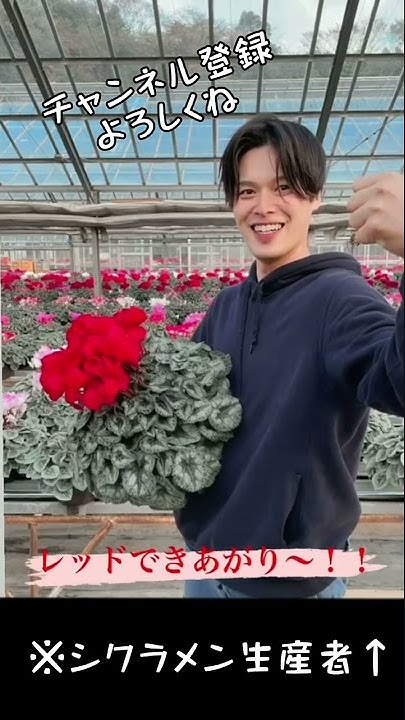 三浦園芸 3代目花農家のチャンネル Youtube