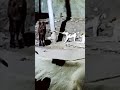 Animals are far better than human!!