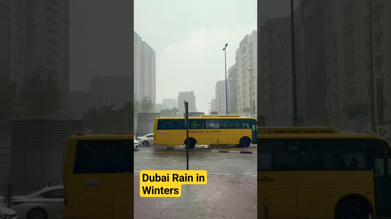 The first rain of winter, a serene embrace from nature's gentle tears. 