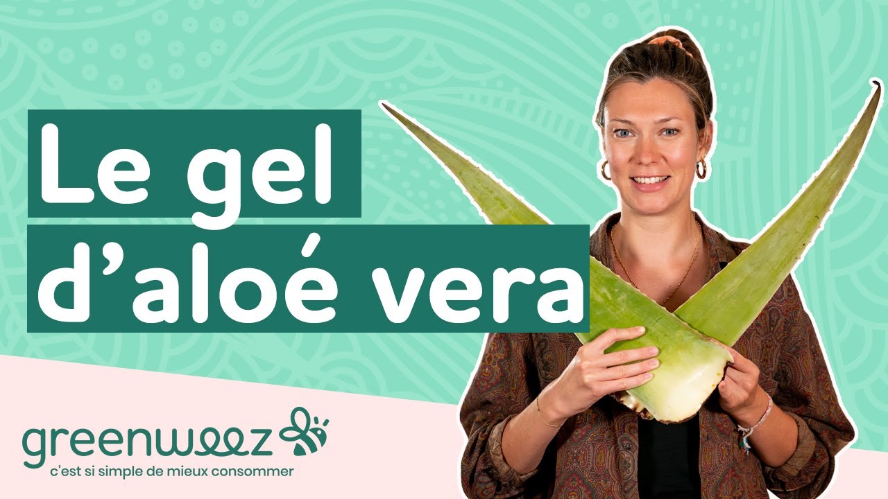 Gel d'aloe vera maison