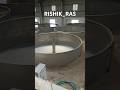 RAS Cleaning in Layer2#fishing #aquaculture #fish #fishfarming #food #vlog #shorts #youtubeshorts