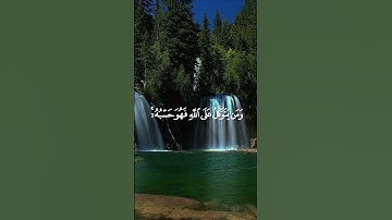 ،،ومن يتوكل على الله فهو حسبة،، صلي على المصطفى و اذكر الله #قرآن #اسلام #تلاوة_خاشعة #راحة_نفسية