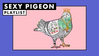 Sexy Pigeon | Playlist