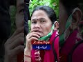 Zipline Rescue in Nepal Amid Massive Mudslide!