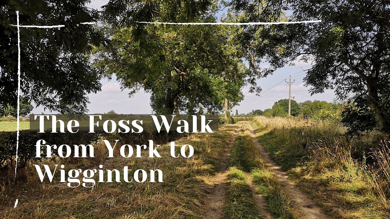 The Foss Walk From York To Wigginton September 2021 YouTube The Foss Walk From York To Wigginton September 2021 YouTube