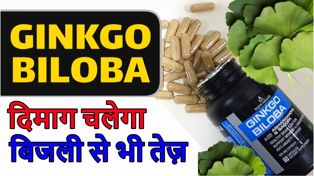 GINKGO BILOBA KE FAYDE Kayos Ginkgo Biloba दिमाग को बिजली से भी तेज़