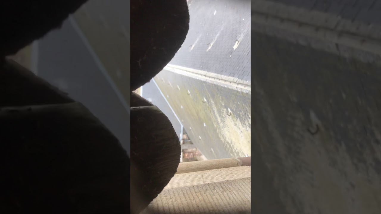 Je remonte dans le clocher de l’église de Magnières ( nettoyer )!