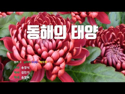 [은성 반주기] 동해의태양 - 송창식