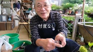 初心者の盆栽道具の選び方。（ひっそりと）販売始めました。 – 盆栽Q