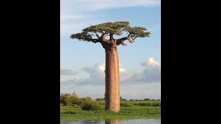 SLOW JAM DEEPHOUSE | KING TOUCH | DJ EXPO | CHILLED MIX | JUNE 2024