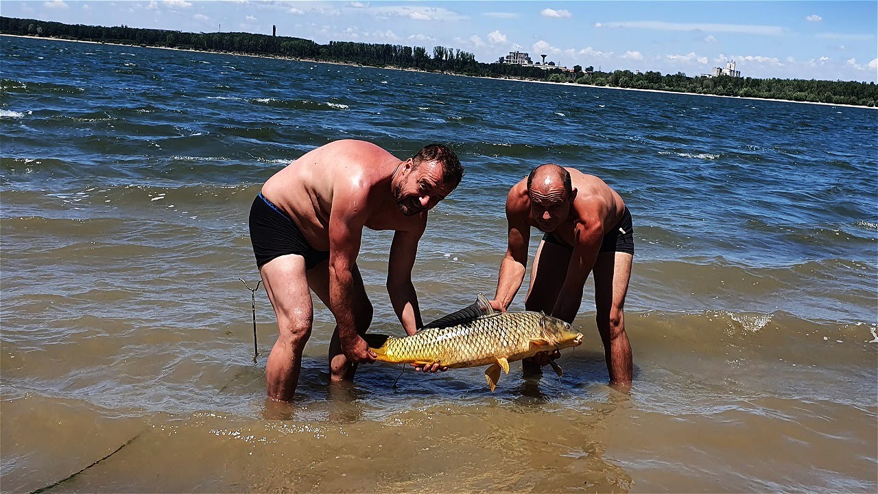 Дунав Риболов На Шарани