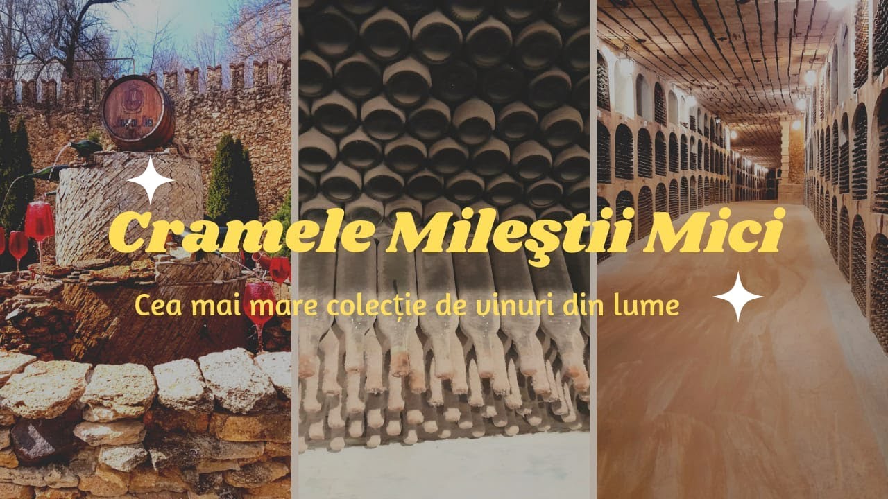 Cea mai mare crama din lume | Milestii Mici - 200 km de tuneluri si 1.5 milioane de sticle de vin