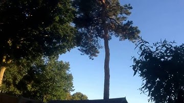 Drone flying - U818A Updated WiFi FPV RC Drone with HD Camera DBPOWER