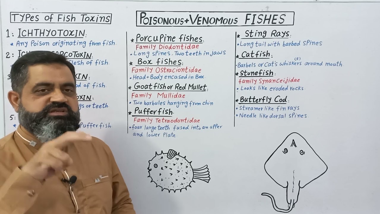 Poisonous & Venomous Fishes Urdu/Hindi medium 