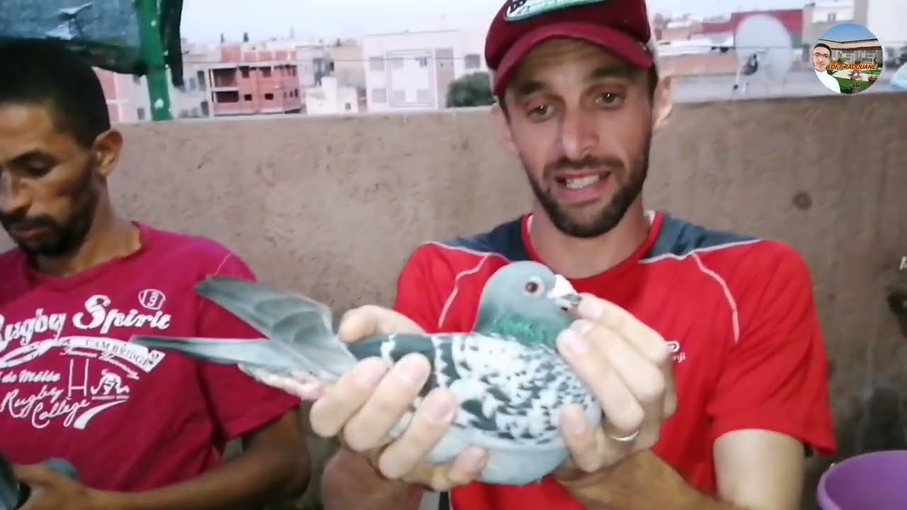 توليعة رائعة في حمام المارطون عند الأبطال الكبار الإخوان الغزالي بمدينة مكناس اللهم بارك