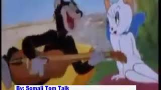 Tom jerry hees shidan