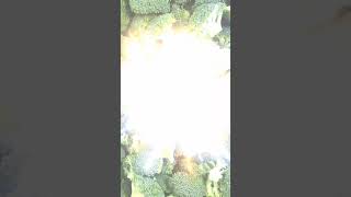 Broccoli Is An Edible Green Plant In The Cabbage Family Whose Large Flowering Head,