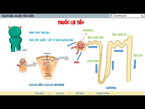 Video Dược Lý Các Thuốc Lợi Niệu, Thuốc Lợi Tiểu - Dược Tốc... - youtube
