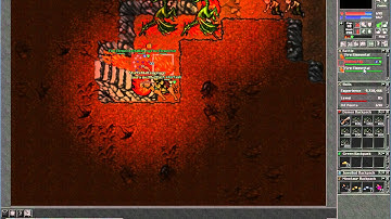Tibia - Aurora Server - Killing 106 ED Red Skull