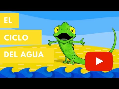 Video: Lecciones del ciclo del agua: cómo enseñar el ciclo del agua a sus hijos con plantas