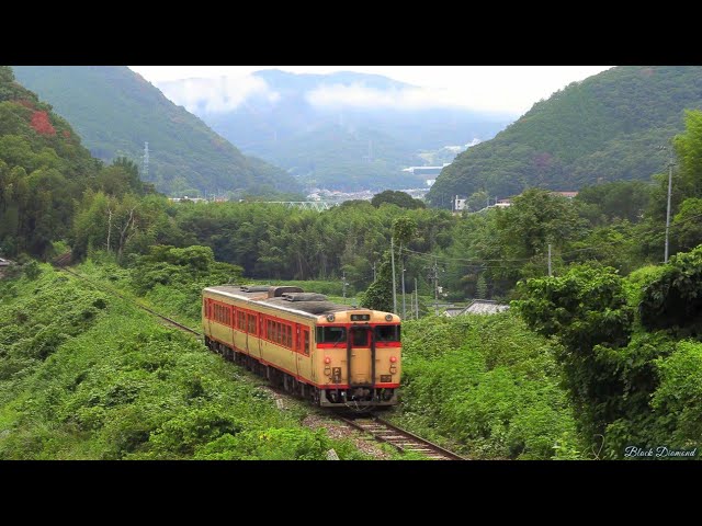 サロンカー彗星 サボ Amazon | 鉄道サボ 愛称板サロンカー彗星 新大阪?大分 | 鉄道