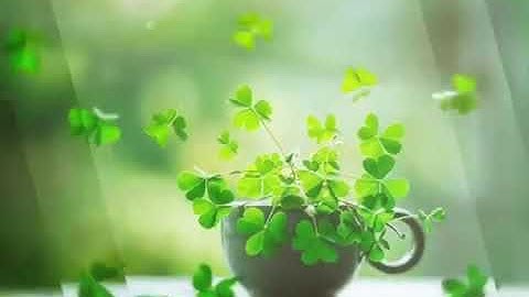 XƯỞNG MAY TÚI CANVAS, TÚI VẢI KHÔNG DỆT GIÁ RẺ TPHCM - https://www.facebook.com/maytuicanvas