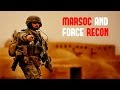 MARSOC and Force Recon