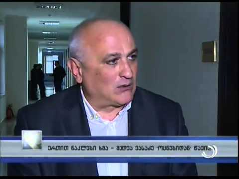 ერთით ნაკლები ხმა - მედეა ვასაძე ''ქართული ოცნებიდან'' წავიდა