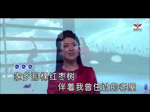 任妙音 - 红枣树（高清1080P）KTV现场版