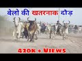 बेल्ल रेस | Bull Racing in  Kutch Devariya | कच्छ के बहेत्रिन बेल्ल की रेस