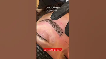 Nanoblading Semi Permanent Makeup For The Eyebrows Shorts Nanoblading Microblading Browsbyarti 