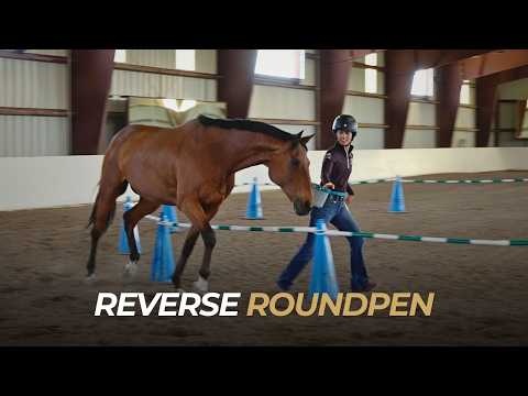 The Reverse Round Pen: Teaching Liberty With Distance