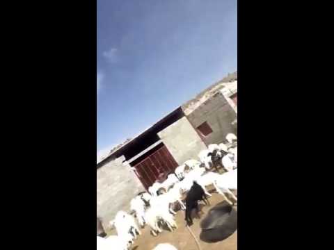 هييييي هوووو 