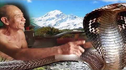 Câu chuyện rắn thần báo oán và bài học về quy luật sinh tồn trên trái đất