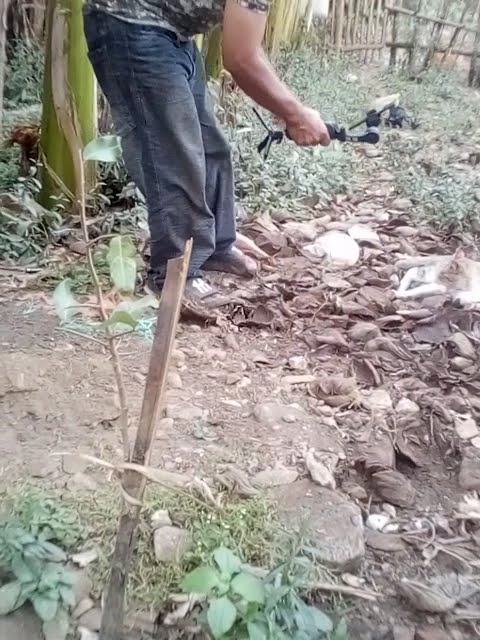 Pejuang konten yang penting terus berusaha