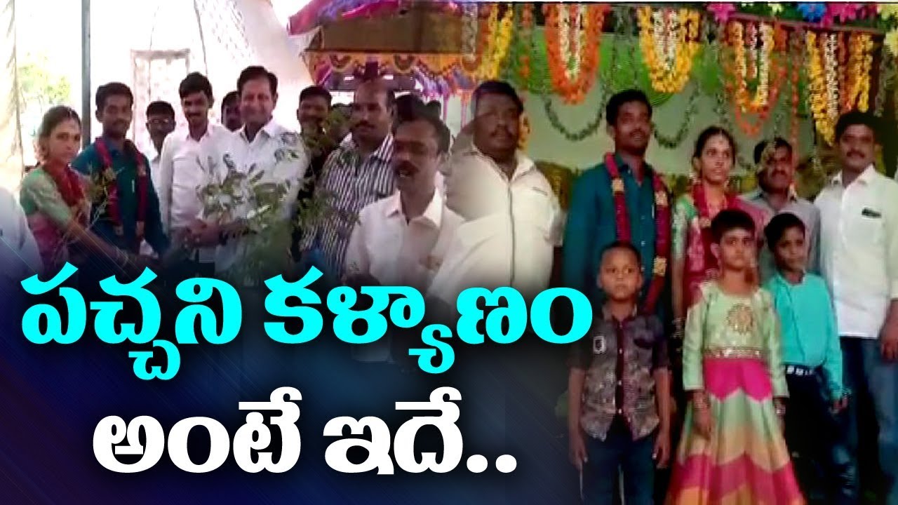 something special traduction పచ్చని కళ్యాణం అంటే ఇదే | Something Special