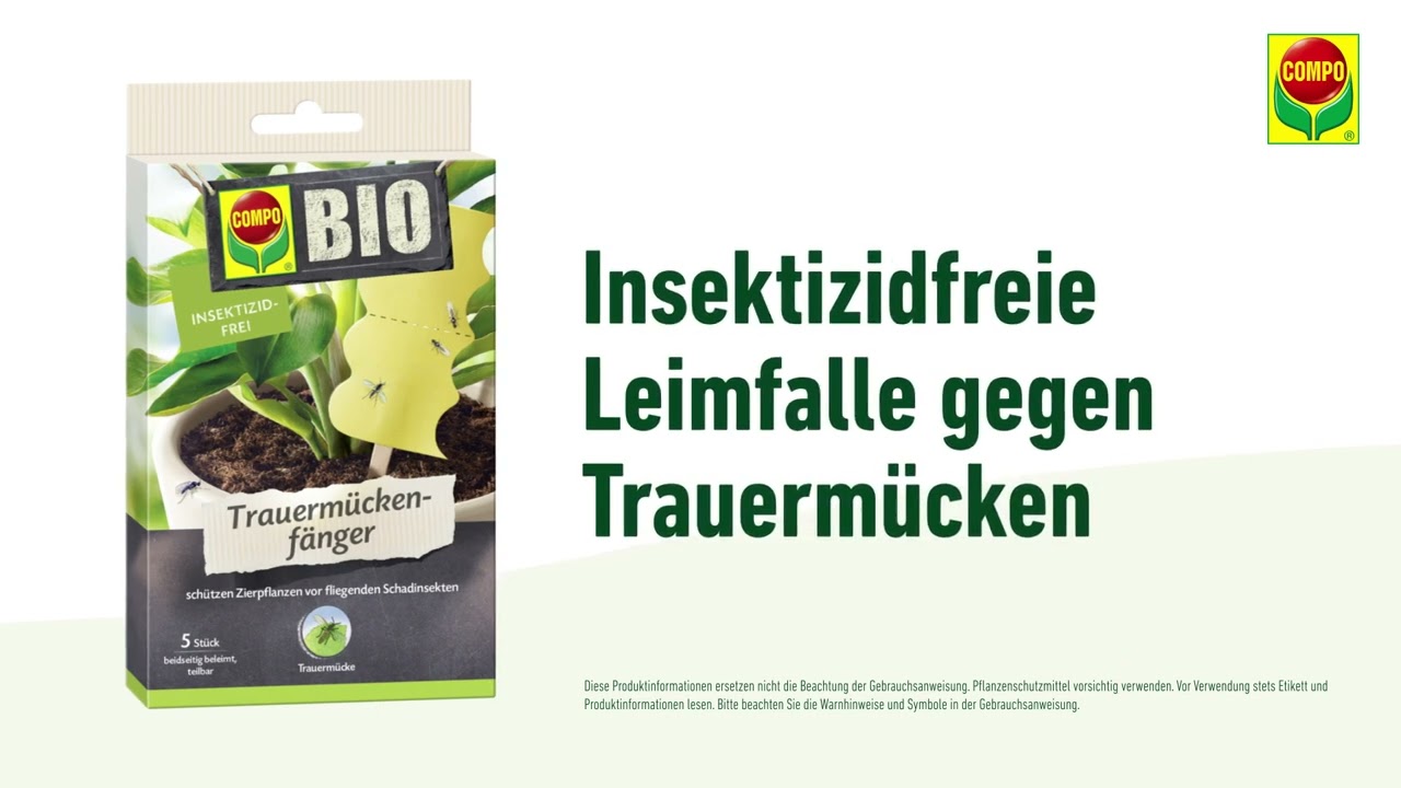 natur saatgut Urban Wildblumen