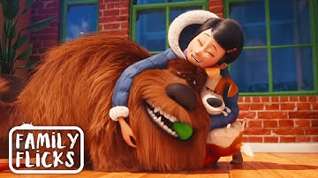 Bringing Home Another Dog | The Secret Life Of Pets (2016) | Family Flicks