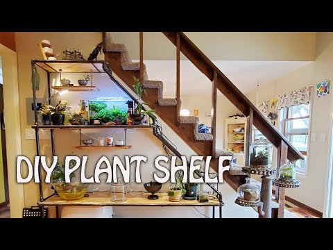aquascaping plants Making a Custom Plant Rack